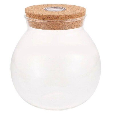 Colorful Ecological Bottle Simple DIY Terrarium Clear Glass