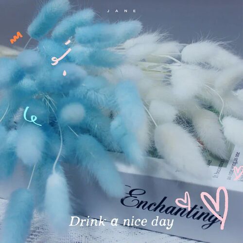 60Pcs Mix Lagurus Bunny Tails Pampas Grass Decor Home Cake D