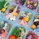 Art Candl Dried Resin Epoxy Craft DIY For Flowers Real 200pc