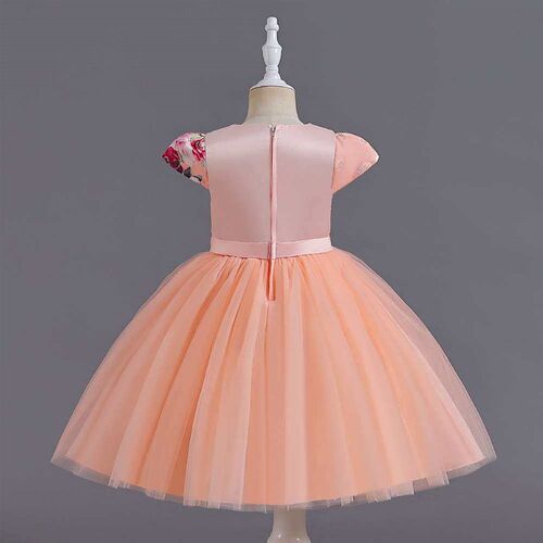 New Childrens Dress Princess Dress Flying Sleeve Girls Mes