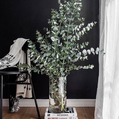 Vase furnishing articles flower arranging transparent glass