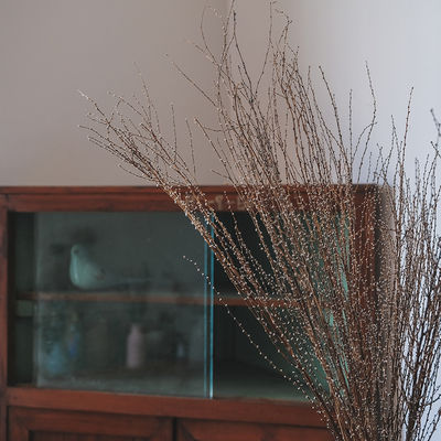 天然干树枝软装民宿复古森系搭配干枝客厅场景橱窗摆设拍照雪梅花