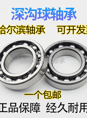 HRB哈尔滨轴承6024 6026 6028 6030 6032 6034 6036 6038-2Z Z/RZ