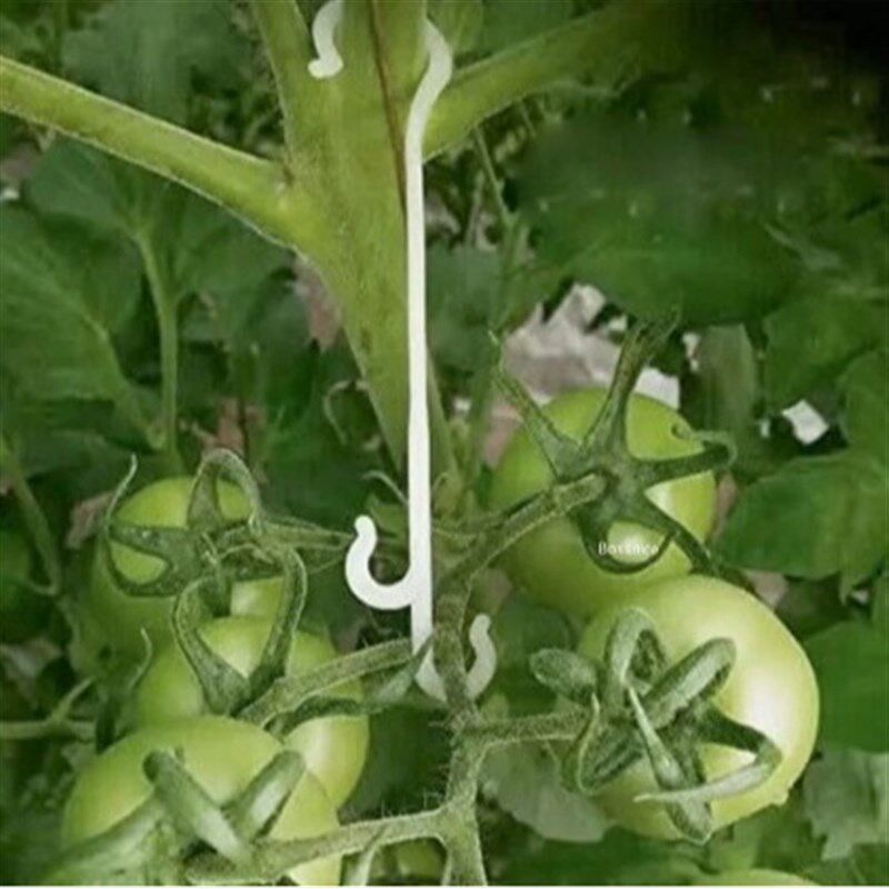 厂供果穗钩西红柿挂钩托穗钩番茄果穗挂钩吊穗钩挂果钩西红柿钩子