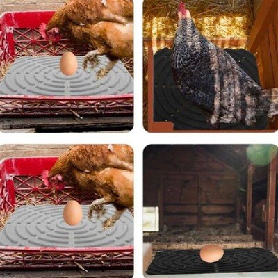 Versatile Silicone Pad for Chicken Raising and Breeding