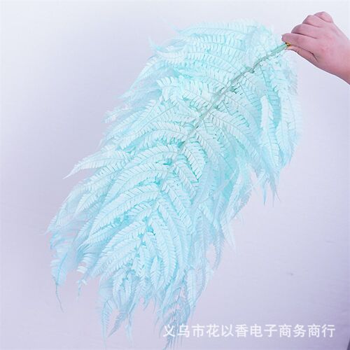[big Fern Leaves] Everlasting Flowers Green Leaves Money Fer