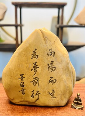 天然戈壁泥石原石真石头刻字办公桌面摆件花盆鱼缸造景工艺品礼品