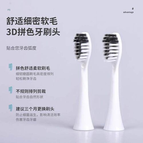Electric Toothbrush for Men and Women, Adult Home-use Rechar
