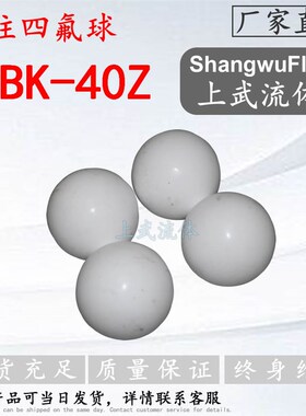 隔膜泵密封球/隔膜泵四氟球/丁腈球/止回球/QBK-Z密封件/配件