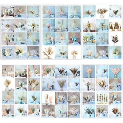 Small Reed Dried Flowers Living Room Party Decoration Photo