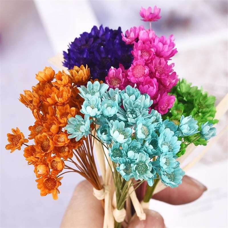 Mini Dried Star Flowers For Epoxy Resin DIY Art Craft Candle图片