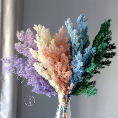 Preserved Penglai Pine, Cedar Hydrangea Pine Preserved Flowe