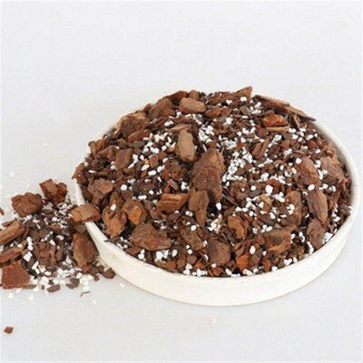 special for orchid soil: dendrobium officinale, lacrosse,