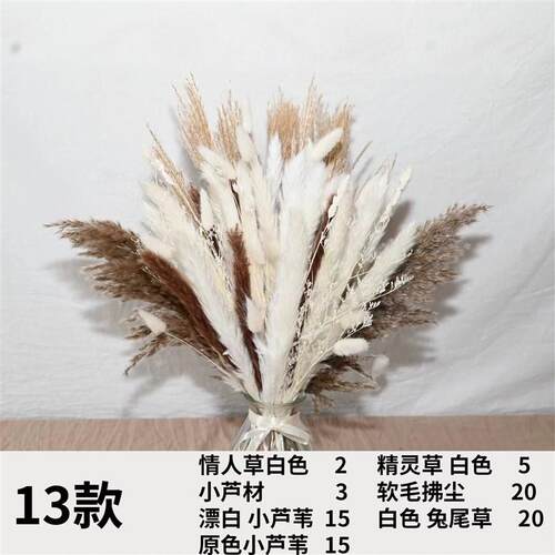Preserved Flower Small Reed Ins Nordic Romantic Style Reed D