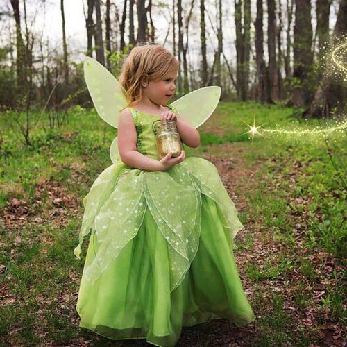 Girls Tinkerbell Fairy Dresses LED Light Up for Girls Costum