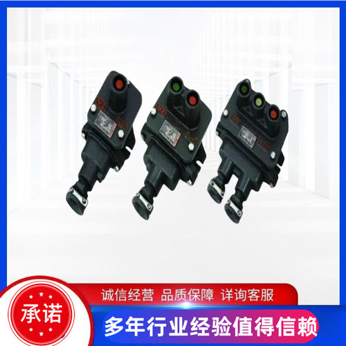 荣通BZA10-5/36-1隔爆型按钮BZA10-5/36-3矿用控制按钮绞车用按钮