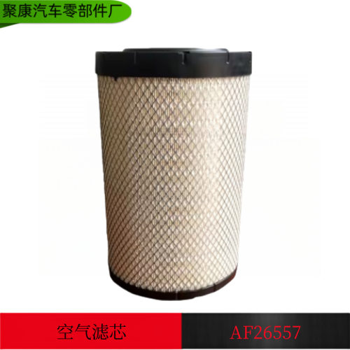 客车空气滤清器AH24182 空气滤清器AF26557+AF26597 /AF26597