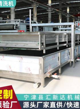 全自动大型菜机清莓快速NMW清洗机果蔬食品加洗工流水线气泡草洗