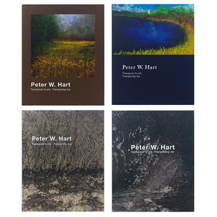 熙思装饰书艺术油画样板间饰品摆件书样板房茶几书房书柜真书装饰