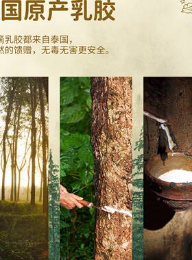 心香F97MM767宜儿童四脊枕季通用2到6-8乳胶护护颈防驼背岁侧睡枕