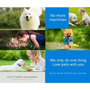 20Ps/Lot Pet Diapers Super Absorbent Dog Training Urine Pad