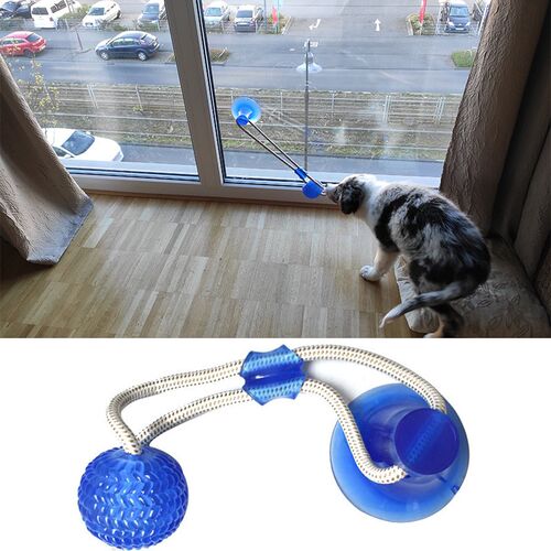 Dog Toys Pet Puppy Interactive Suction Cup Push TPR Ball Toy