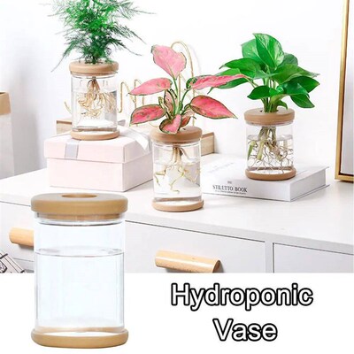 1pc Hydroponic Plant Plastic Vase Self-Absorbing Water Pot O