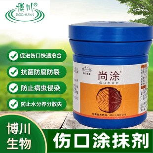 博川尚涂博涂非糊涂金弹子大树盆景果树锯口流胶病伤口愈合涂抹剂
