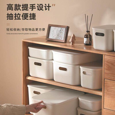 Desktop Storage Box with Lid for Home Kitchen Organization,
