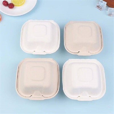 10Pcs Disposable Bento Box Fruit Salad Hamburger Box Pulp