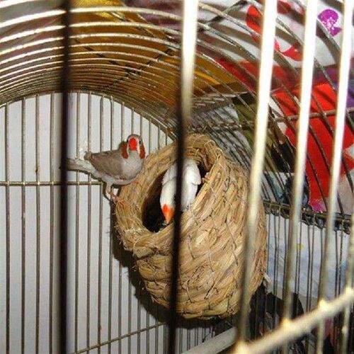 1pc Natural Handmade Straw Bird Nest Pigeon House Parrot