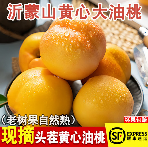蒙阴原产地当季黄金蜜桃