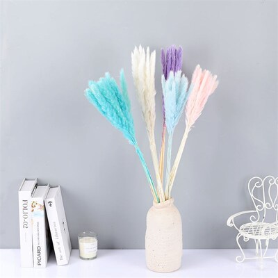 Eternal Small Reeds Dried Flowers Pampas Reed Pampas Natural