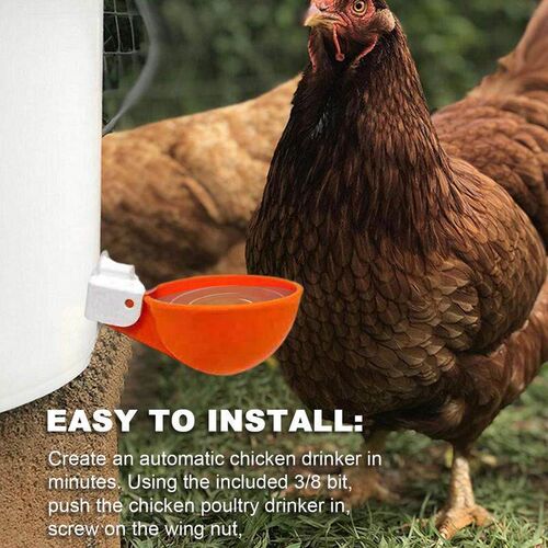 Chicken Drinking Cup Automatic Drinker Chicken Feeder 10 Pac