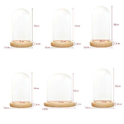 MagiDeal Clear Glass Display Dome with LED Wood Base