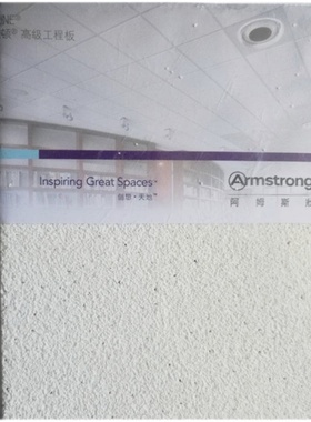 阿姆斯壮矿棉板雅顿R9喷砂板00x00吸音悬吊式天花板装饰W1B W33B