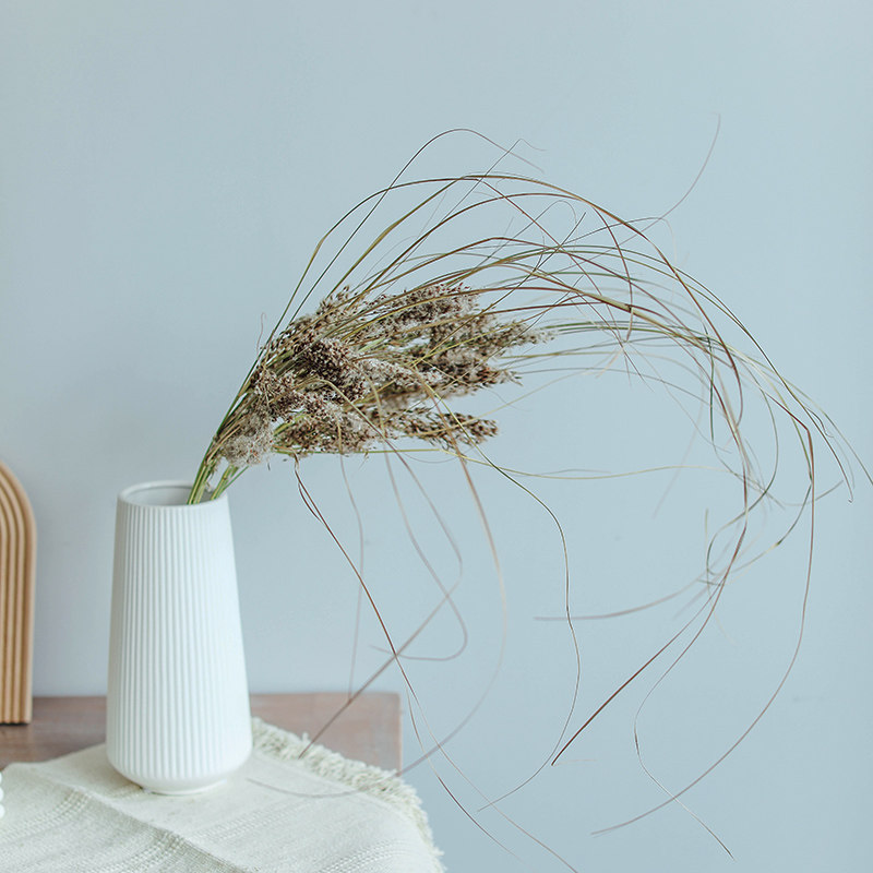 小棉花球干花天然真花束橱窗装饰摆件芦苇蒲苇样板房开业婚庆道具,家居饰品,干花/花瓣/干花包/干树枝,淘宝优惠券,粉丝福利购,淘宝优惠卷