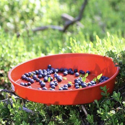 Blueberry Food Sieve Colander Cleaning Tray Drain Berry
