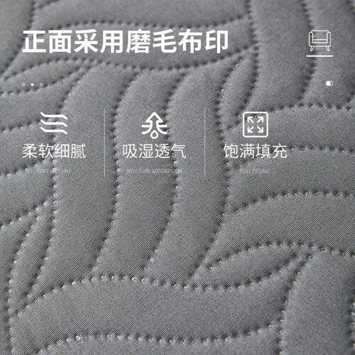 Simple Quilt Waterproof Maress Insulation Pad Thin Quilt Was