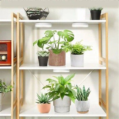 Full Spectrum LED Plant Light 4 Dimmable Levels LED Halo