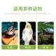 鹦鹉加热灯乌龟保温灯蜜袋鼯保暖灯刺蝟无光陶瓷灯宠物爬虫保温箱