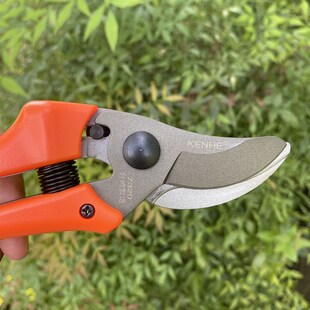 省力剪刀剪枝剪刀果树剪子修剪树枝剪刀强力修花剪园艺剪刀花卉园