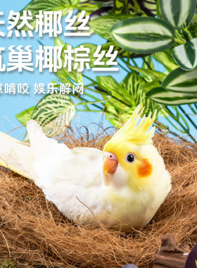 鹦鹉鸟窝垫料天然椰棕丝物好价平