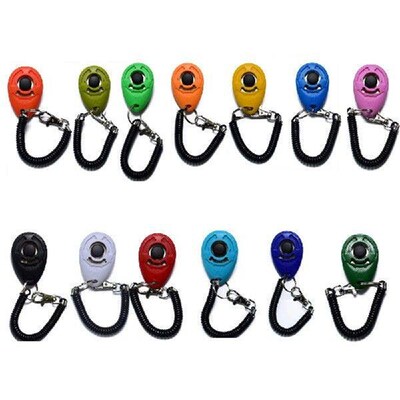 Plastic Training Effective Versatile Durable Fun Plastic