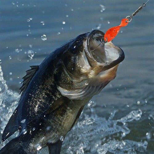 10Pcs Fishing Spoons Lures Kit Trout Baits with Storage