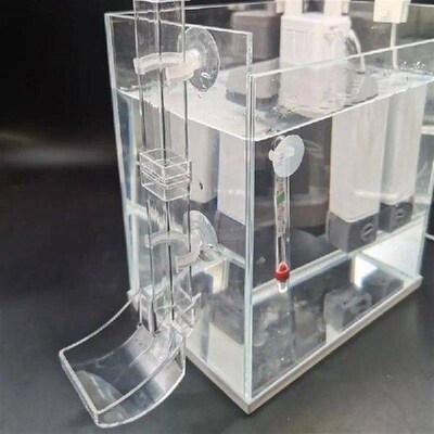 Clear Fish Tank Shrimp Feeder Tube Large Capacity Feeding