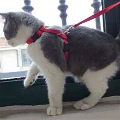 Dog Cat Collar Harness Leash Adjustable Nylon Pet Traction