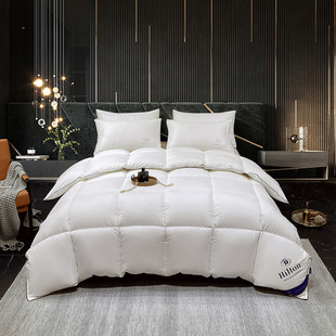 Down Quality Blanket 被子 Hotel Quilt Duvet Season All Warm