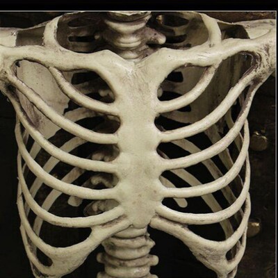 Halloween artificial plastic skeleton props display骷髅架