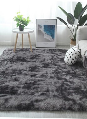 Carpet living room tea table bedroom bedside blanket mat地毯